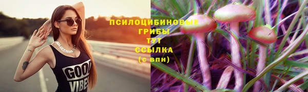 метадон Алексин